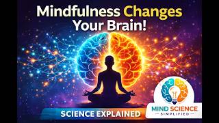 How Mindfulness Affects the Brain | Neuroscience Explained
