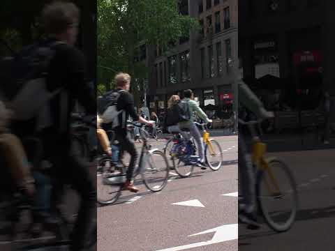This street has SO many cyclists #cycling #netherlands #shorts