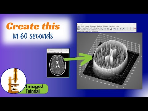 2d image to 3D surface plot tutorial | ImageJ Image Processing