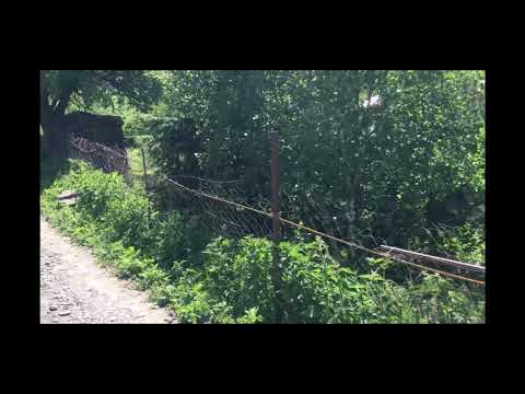 Mountain Village ASMR (Oblivion Theme)