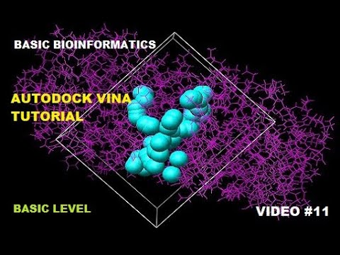 AutoDock Vina for Protein- Ligand Docking [Basic Level]
