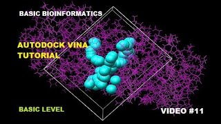 AutoDock Vina for Protein- Ligand Docking [Basic Level]