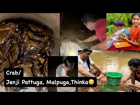 Catching crabs 🦀 Anna na Jenji pathuna technic Thule #crabhunting #villagelige #tuluvlogger