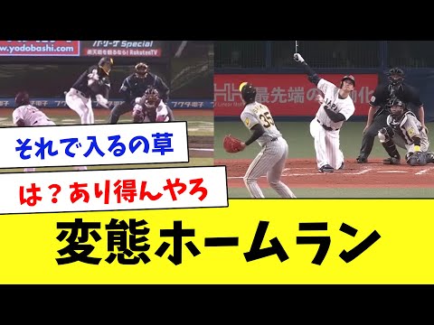 それが入る！？意味不明すぎる変態ホームランをまとめてみた…www