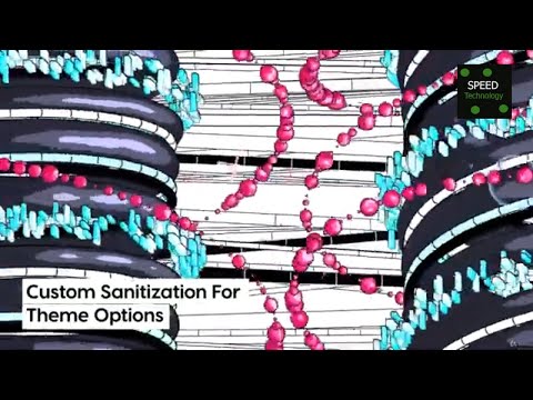 Custom Sanitation For Theme Options I Adding Theme Options Using The Customizer API