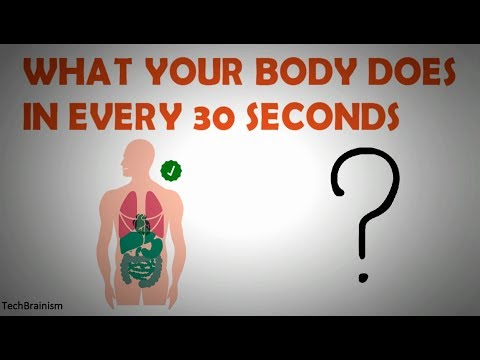 What your body does in every 30 Seconds | Science Explained | TechBrainism