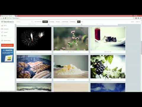Free Copyrights Stock Images #2