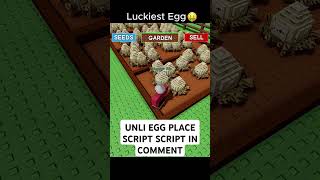 UNLIMITED EGG PLACE SCRIPT GROW A GARDEN #foryou #roblox #gardenegg #robloxgiveaway #dupescript