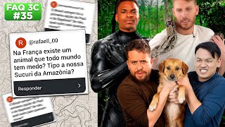 #FAQ #35 | O FILME PANTERA NEGRA FAZ SENTIDO PRO BAPTISTA? | #3CONTINENTES
