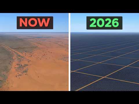 The Best News of This Week | GOOD NEWS #40