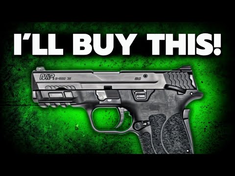 BEST Guns Under 300 (That You Could Bet Your Life On)