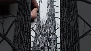 Drawing Tree Bark with a Rotring Technical Ink Pen on Watercolor Paper