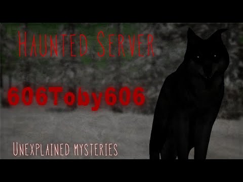The mystery of server 606Toby606 | Wildcraft horror