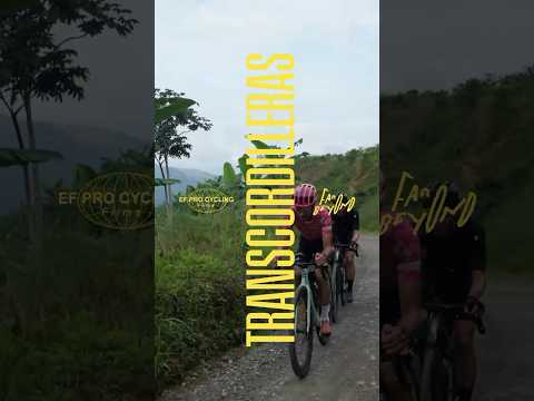 A green paradise on earth. Colombia is just 🤌#efprocycling #transcordilleras #colombia #FarBeyond