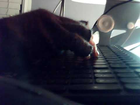 Pomodoro #38 | Study With Me | Live Study Session | Quiet Study Session