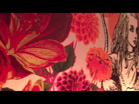 Japan   Shinjuku's Alice in Wonderland Restaurant