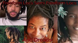 Freeform Locs Semi Freeform Locs and Dreads