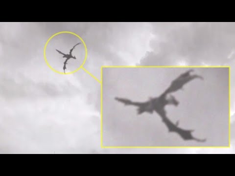 Penampakan Naga/Dragon di Awan