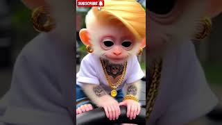 Baby Monkey Funny Song 🐒 | Roman Urdu Comedy | Laughterpuf | Like & Subscribe #shortsfeed
