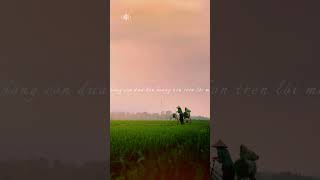 anh đã tự nhắc em sang sông rồi... #dancatrutinh