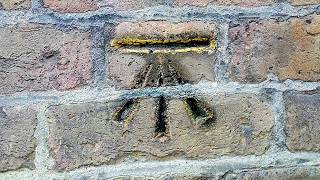 Why is this symbol hidden everywhere in the UK?
