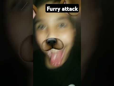 furry attack #relatable #memes