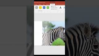 How to Apply a Gradient Effect to an Image in PowerPoint | Quick Reel