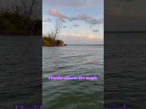Florida sunsets 🧡 #floridaliving #nature #travel #floridarealtors #rrh