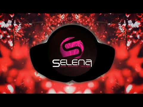 Selena Logo Intro Sfx [LOGO INTRO COPYRIGHT FREE]