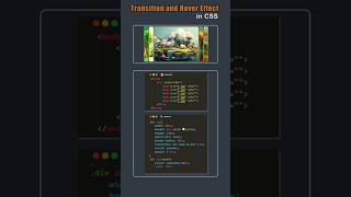 CSS Transition and Hover Effect Tricks #coding #css #shorts
