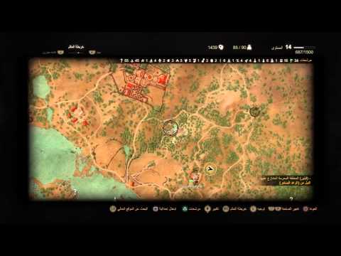 The Witcher 3: Wild Hunt Glitch