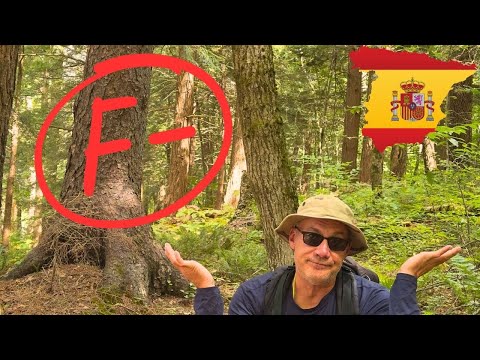 It’s OK to Fail. My Trip to Spain