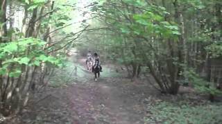 Hacking Out, x