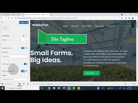 How To Display Site Title and Tagline instead of Logo WordPress Website Astra Theme