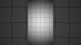 White grid motion  backgrounds #viral