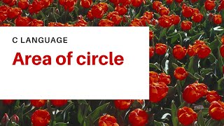 Calculating Area of Circle