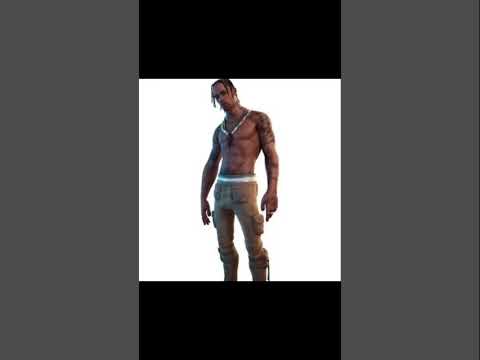 Not the best lol #fyp #meme #cat #sand #funny #transition #fein #travisscott #fg