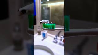 Surprise in Toothpaste 😱🤣🥰🤪#shorts #viral #shortvideo #trendingshorts
