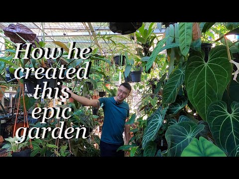 How Russel Created His Garden Paradise (Interview) | Dogs and Exotic Garden Plants ❤️ (Singapore)