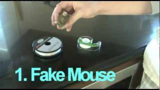 Fake Mouse Prank