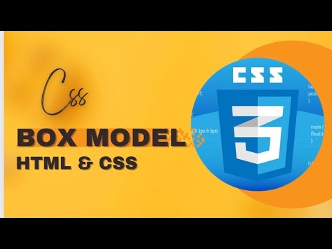 Css Box Model Using HTML & css Tamil