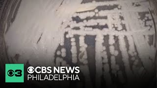 Dangerous fungus spreading across hospitals, nursing homes nationwide, CDC reports