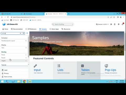 7 - UI5 Routing, Manifest_json