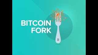 The Bitcoin Ecosystem, Soft Forks, and Hard Forks in 5 Minutes! #Crypto Tutorial Episode 6