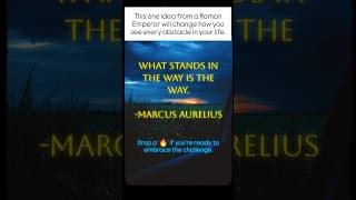 Stop Avoiding Obstacles: Marcus Aurelius' Rule