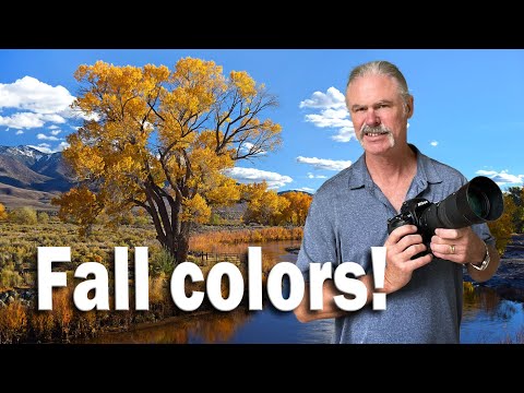 Fall colors photography and foliage locations near Reno, Nevada + see the Depot Brewery/Distillery!