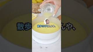 【2ch面白いスレ】友達の犬を勝手に散歩させてたのがバレた結果ｗｗｗ