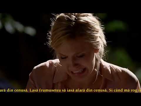 Céline Dion - Ashes/Cenusa  -  traducere romana .