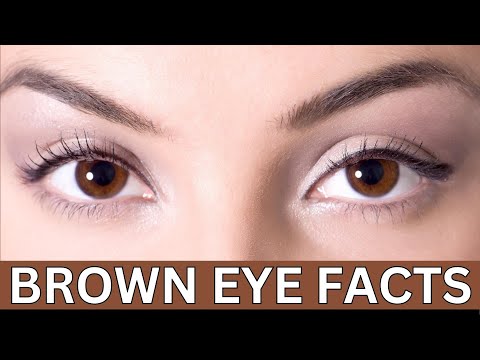 Brown Eye Facts |  Facts about People with Brown Eyes | Eye Color Facts
