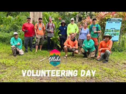 Volunteering with KMWP